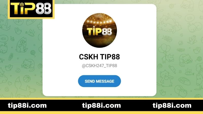 Các kênh liên hệ TIP88 đang triển khai