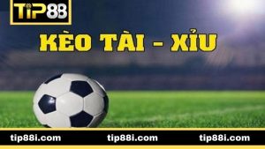 Kèo Tài Xỉu cả trận trong cá cược bóng đá 