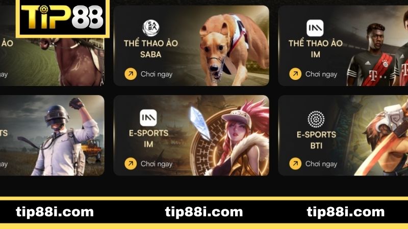 Sảnh cược có những thế mạnh nổi bật thu hút riêng