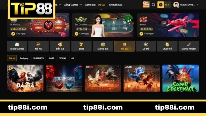 Đá Gà TIP88 - Sân Chơi Dành Cho Tín Đồ Đam Mê Kê Chiến Khái quát chung về sân chơi chọi kê TIP88